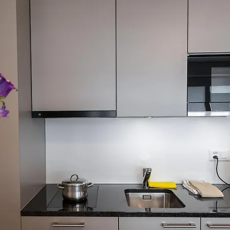 Apartmenthouse Viktoria In Szálloda Bern
