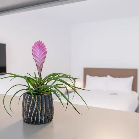 Szálloda Apartmenthouse Viktoria In 3*